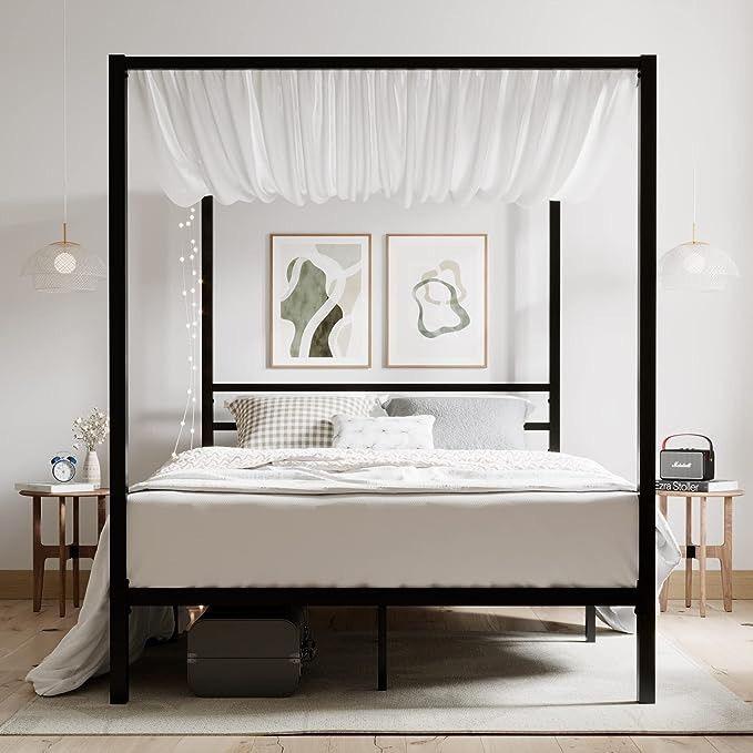 Canopy Loft